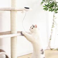 Pet Cat Toy Electronic Motion Toy
