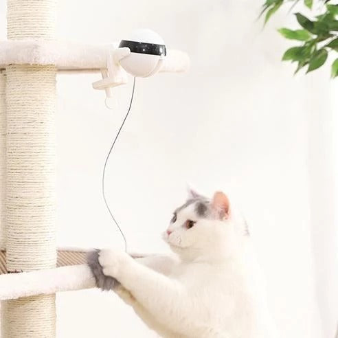Pet Cat Toy Electronic Motion Toy