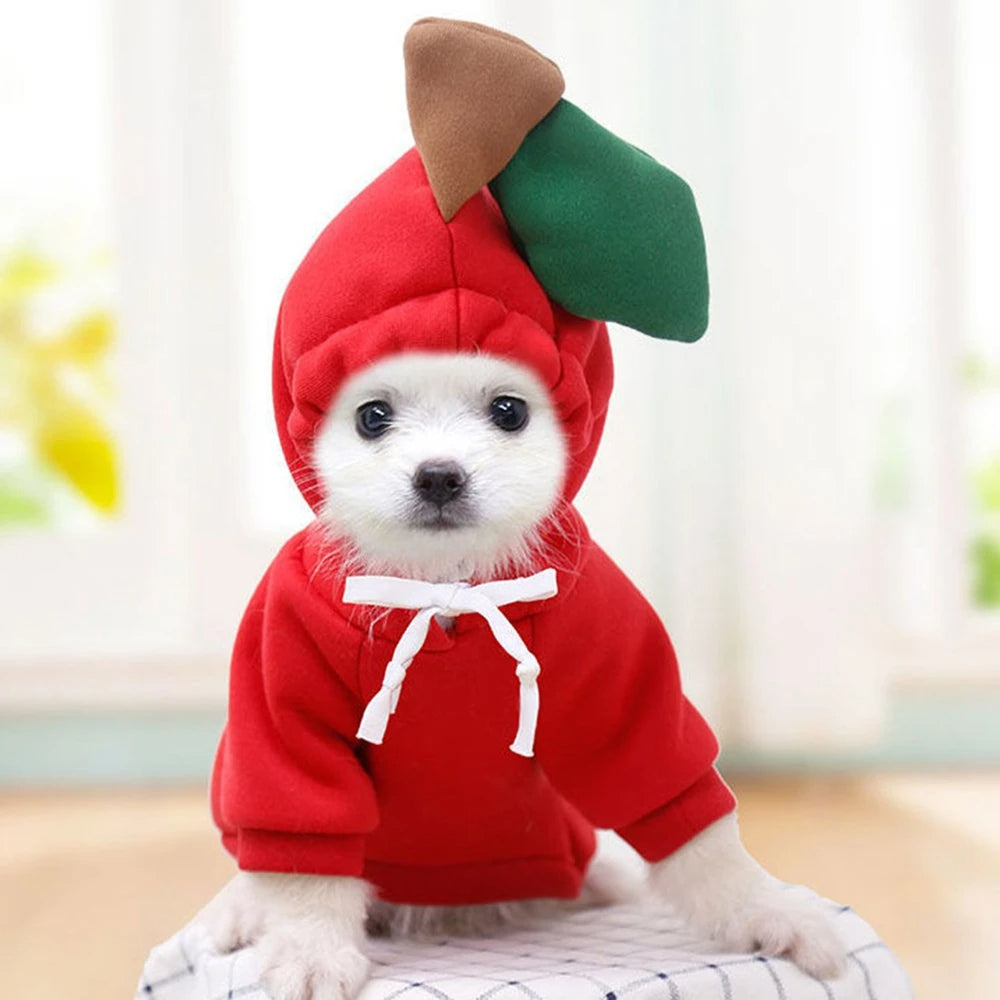 Cute Fruit Dog Clothes For Small Dogs Hoodies Winter Warm