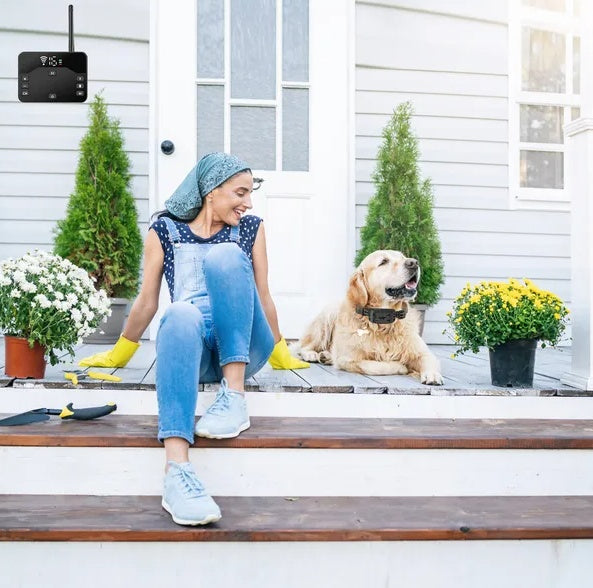 Wireless Electric Dog Fence Waterproof Electric Training Collar For Small Medium Large Dogs