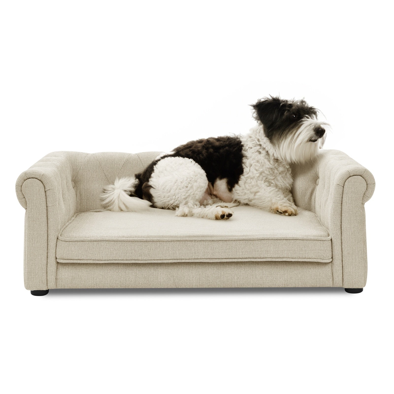 Elegant Rectangle Pet Bed For Medium And Large Dogs, Durable Elevated Dog Sofa Bed