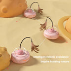 CAT Teasing Toys Various Interactive Toys For Dogs